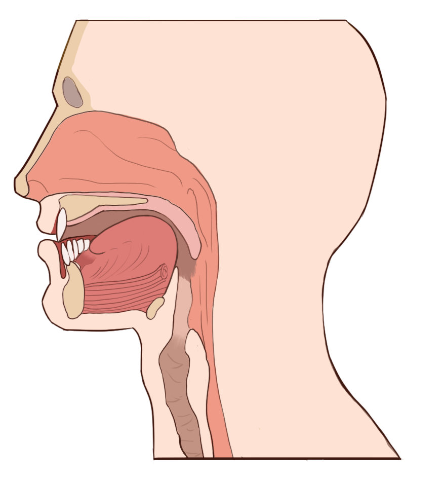 This image has an empty alt attribute; its file name is ach-Laut_neu.png