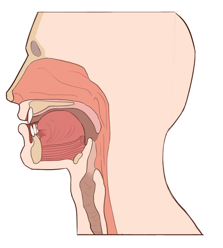 This image has an empty alt attribute; its file name is ich-Laut_neu-1.png